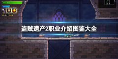 盗贼遗产2职业有哪些 职业介绍图鉴大全