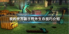 我的世界新手如何在野外生存 新手野外生存技巧介绍