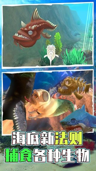 海底世界模拟游戏官方版图片1