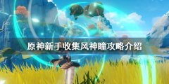 《原神》新手如何快速收集风神瞳 新手收集风神瞳攻略介绍
