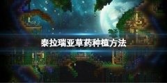 《泰拉瑞亚》怎么种草药 草药种植方法