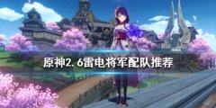 《原神》2.6雷电将军如何配队 2.6雷电将军配队推荐