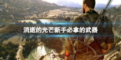 《消逝的光线》新手必拿的武器 新手开局武器推荐