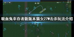 《吸血鬼幸存者》猫女怎么玩？新版本猫女27W击杀玩法介绍