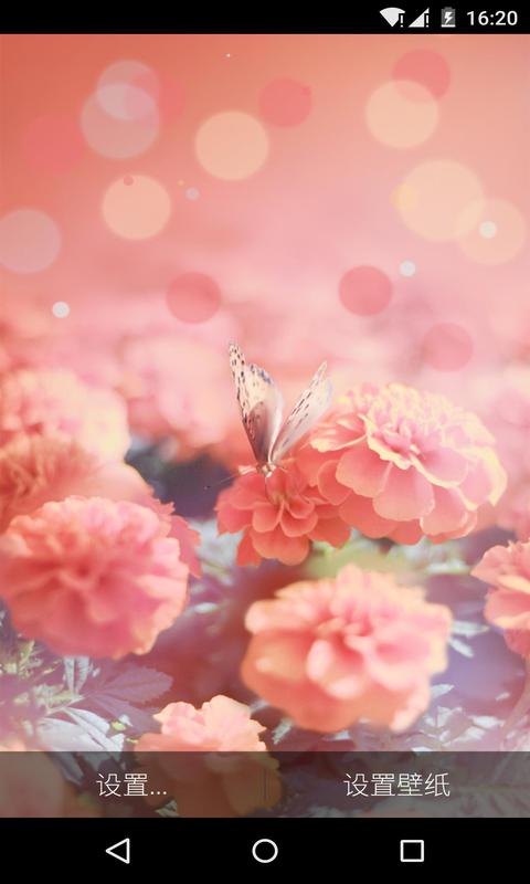 花蝴蝶软件app免费版下载（Flower Butterfly）图片1