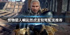 《怪物猎人崛起》怨虎龙轻弩好用吗？怨虎龙轻弩配装推荐