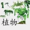 植物百科app苹果版下载 v3.2.3