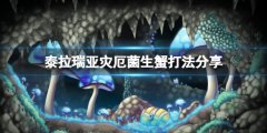 《泰拉瑞亚》菌生蟹怎么打？灾厄菌生蟹打法分享