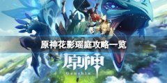 《原神》花影瑶庭怎么做？花影瑶庭攻略一览