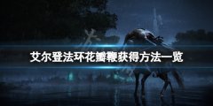 《艾尔登法环》花瓣鞭怎么获得？花瓣鞭获得方法一览