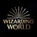 wizarding world app