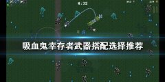 《吸血鬼幸存者》武器搭配如何选择？武器搭配选择推荐