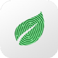 一叶识木植物识别软件app下载 v3.0