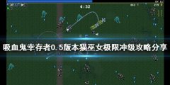 《吸血鬼幸存者》0.5版本怎么玩？0.5版本猫巫女极限冲级攻略分享