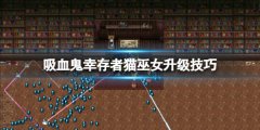 《吸血鬼幸存者》猫巫女怎么升级？猫巫女升级技巧心得