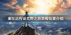 《塞尔达传说荒野之息》草莓哪里多？草莓位置介绍