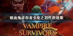 《吸血鬼幸存者》女巫之泪作用效果 女巫之泪效果介绍