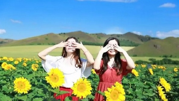 迈奇旅游小工具怎么用_迈奇旅游小工具怎么更新_迈奇旅游小工具app合集