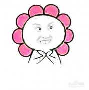 自己制作表情包的软件大全