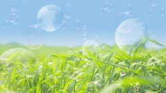 i主题所有版本大全