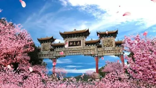 桃花源appvivo怎么下载_桃花源app是什么软件_桃花源app软件免费大全