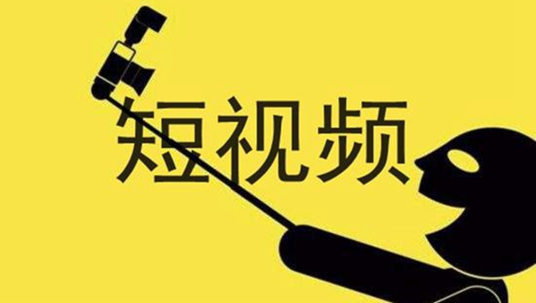 雏鸟短视频是什么_雏鸟短视频免费版推荐_雏鸟短视频ios苹果版大全