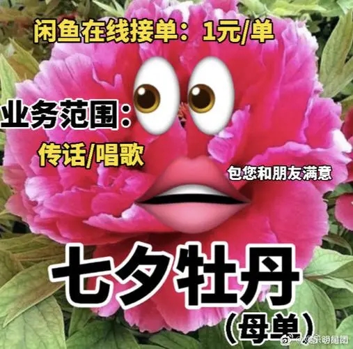 七夕牡丹表情包图片合集_2021抖音七夕牡丹表情包大全_七夕牡丹表情包热门图片分享