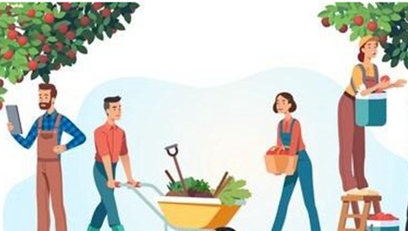 丰益果园怎么样_丰益果园是真的吗_丰益果园软件下载大全