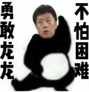 勇敢龙龙不怕困难表情包原图大全