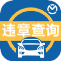 汽车违章查询全国免费app下载安装 v8.2.7