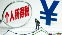最新个人所得税2021app合集
