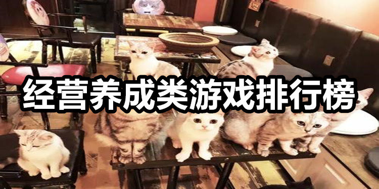 好玩的经营类游戏手游_好玩的经营养成类游戏_好玩的经营餐厅小游戏