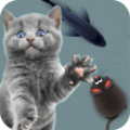 猫狗玩具模拟器app手机版下载 v1.0.3