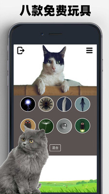 猫狗玩具模拟器app手机版下载图片1