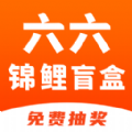 六六锦鲤盲盒app手机版下载 v1.0.1