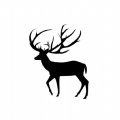 麋鹿记录仪app安卓版下载 v1.5