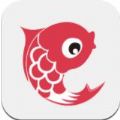 小鲤鱼育儿app软件最新2022下载 v6.7.1