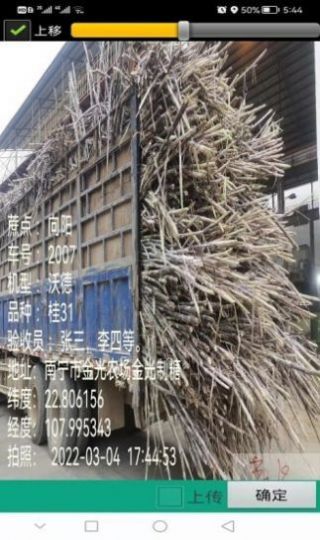 水印照片管理系统app手机版图片1