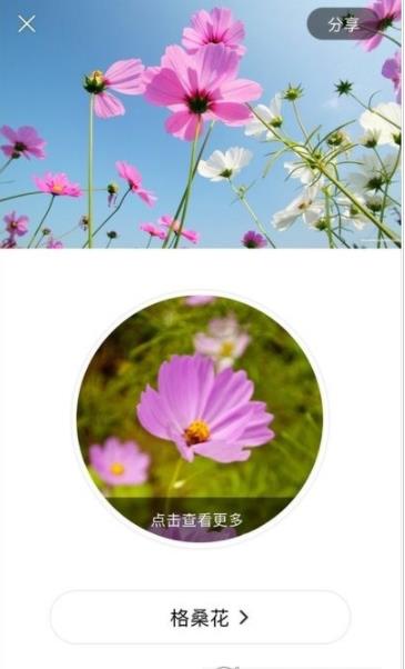 识花大师app特色图片