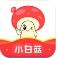 小白菇app邀请码官网下载 v3.3.30