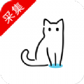 猫影视Tv安卓app下载 v1.0