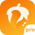 坚果隐藏pro版app官方下载 v1.0.0