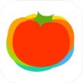 薄荷营养师官方最新版app v3.1.9