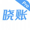 晓账Pro企业财务记账app安卓下载 V1.0.6