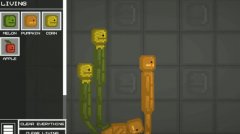 甜瓜游乐场MOD合集