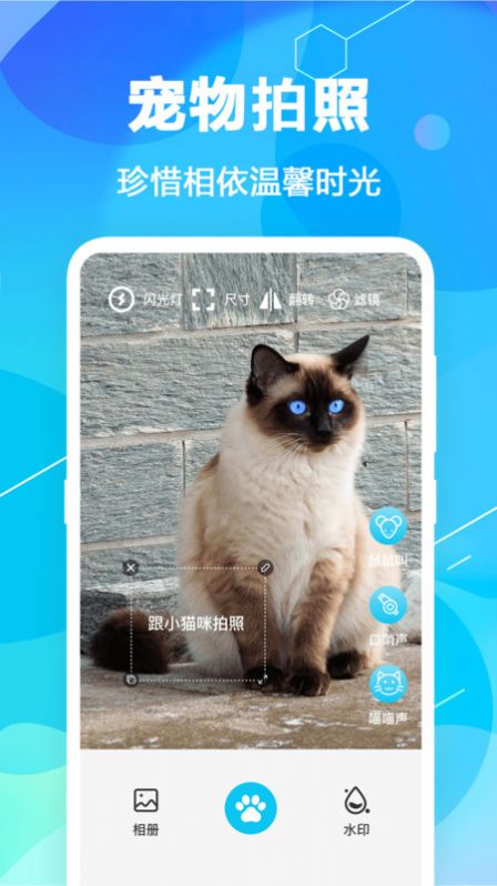 猫语翻译精灵app软件下载图片1