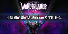 小缇娜的奇幻之地steam名字叫什么 steam搜索方法