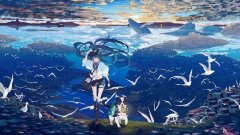 二次元视频软件大全2022