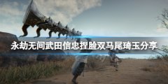 永劫无间武田信忠捏脸双马尾琦玉分享 双马尾琦玉武田信忠怎么捏