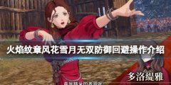 火焰纹章风花雪月无双怎么弹反 防备回避操作介绍